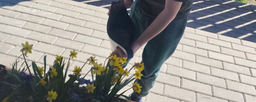 Sadzenie kwiatków w Kujawiaczku